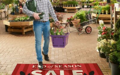 Logózott szőnyegek előnyei